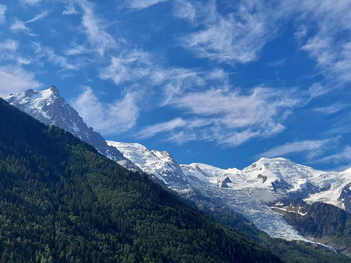 Le Petit Balcon Avec Vue Sur Le Mont-Blanc 2 Etoiles Apartment Chamonix ภายนอก รูปภาพ